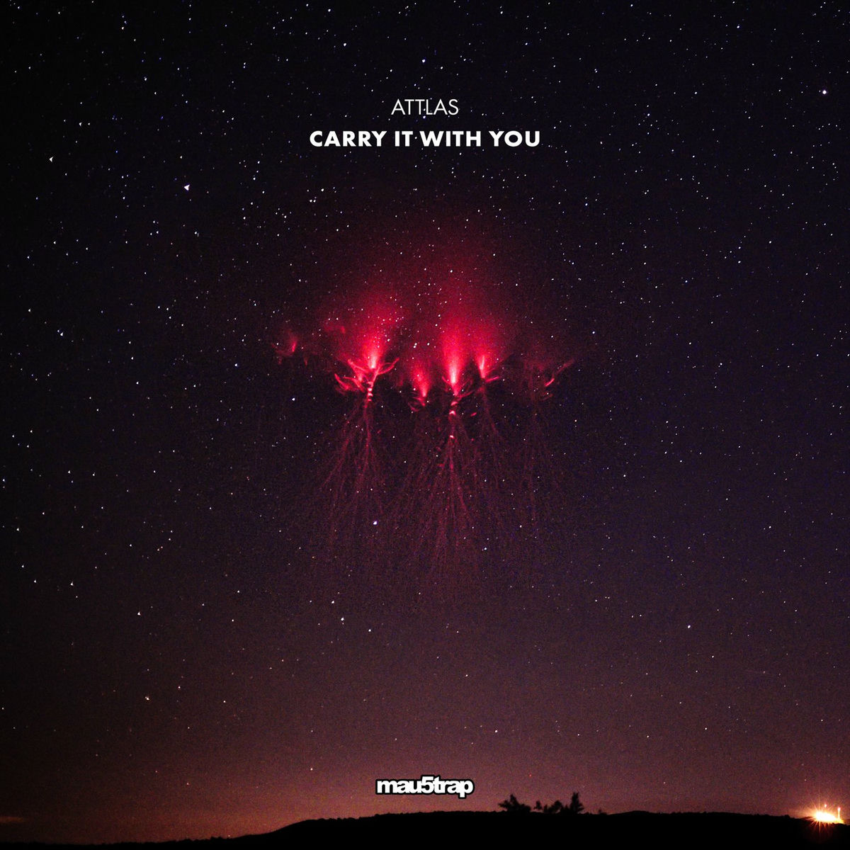 Album cover of Carry It with You