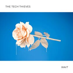 Cover of Wait