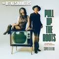 Pull Up The Roots (The Berlin & Hotel Sessions)