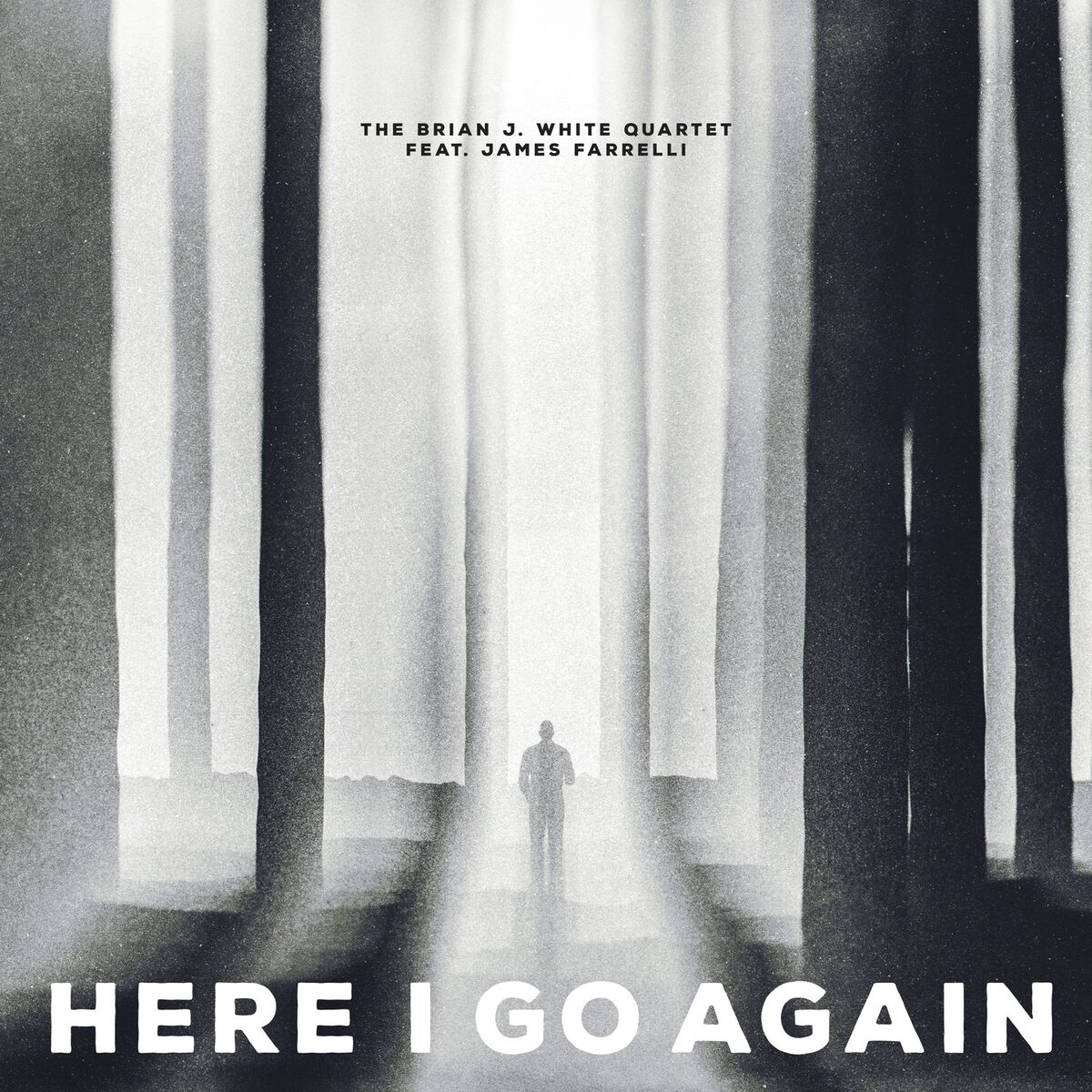 Album cover of Here I Go Again