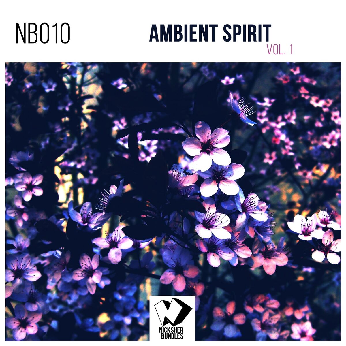 Album cover of Ambient Spirit, Vol. 1