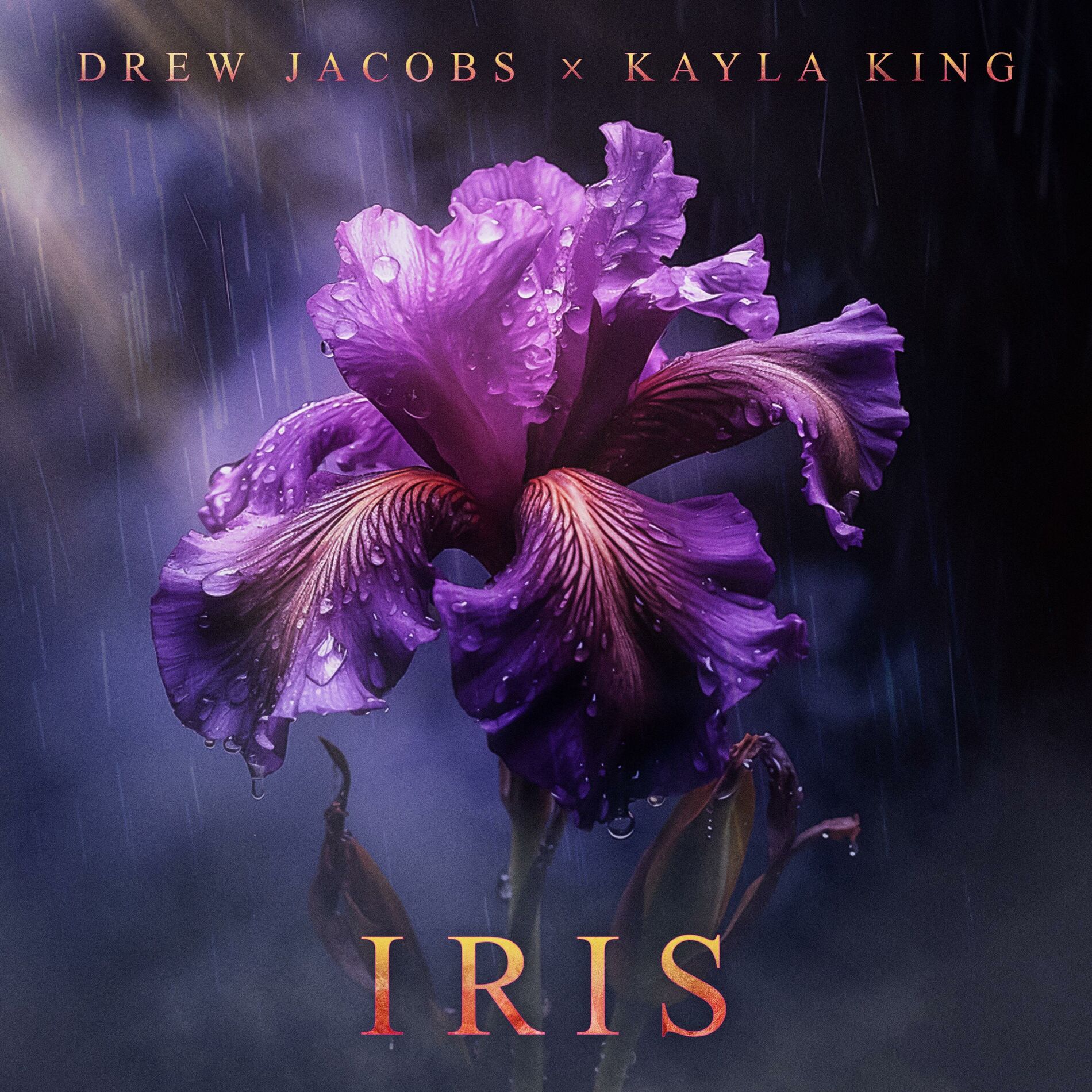 Album cover of Iris