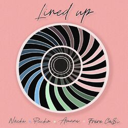 Cover of Lined Up