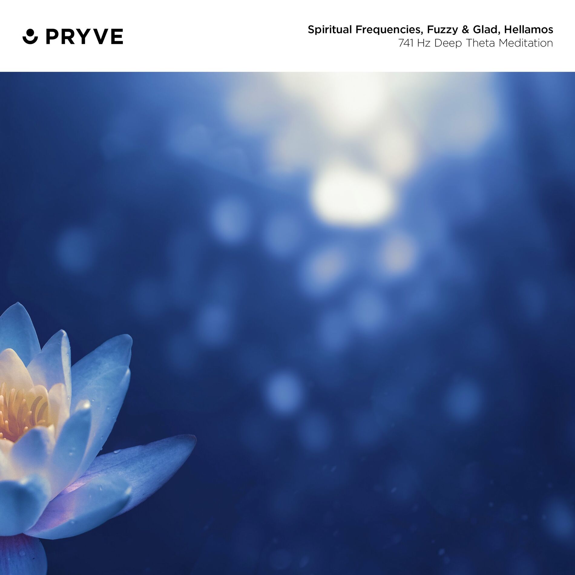 Album cover of 741 Hz Deep Theta Meditation