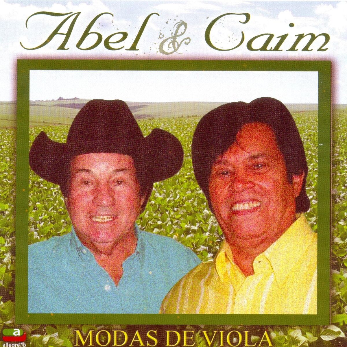 Album cover of Modas de Viola