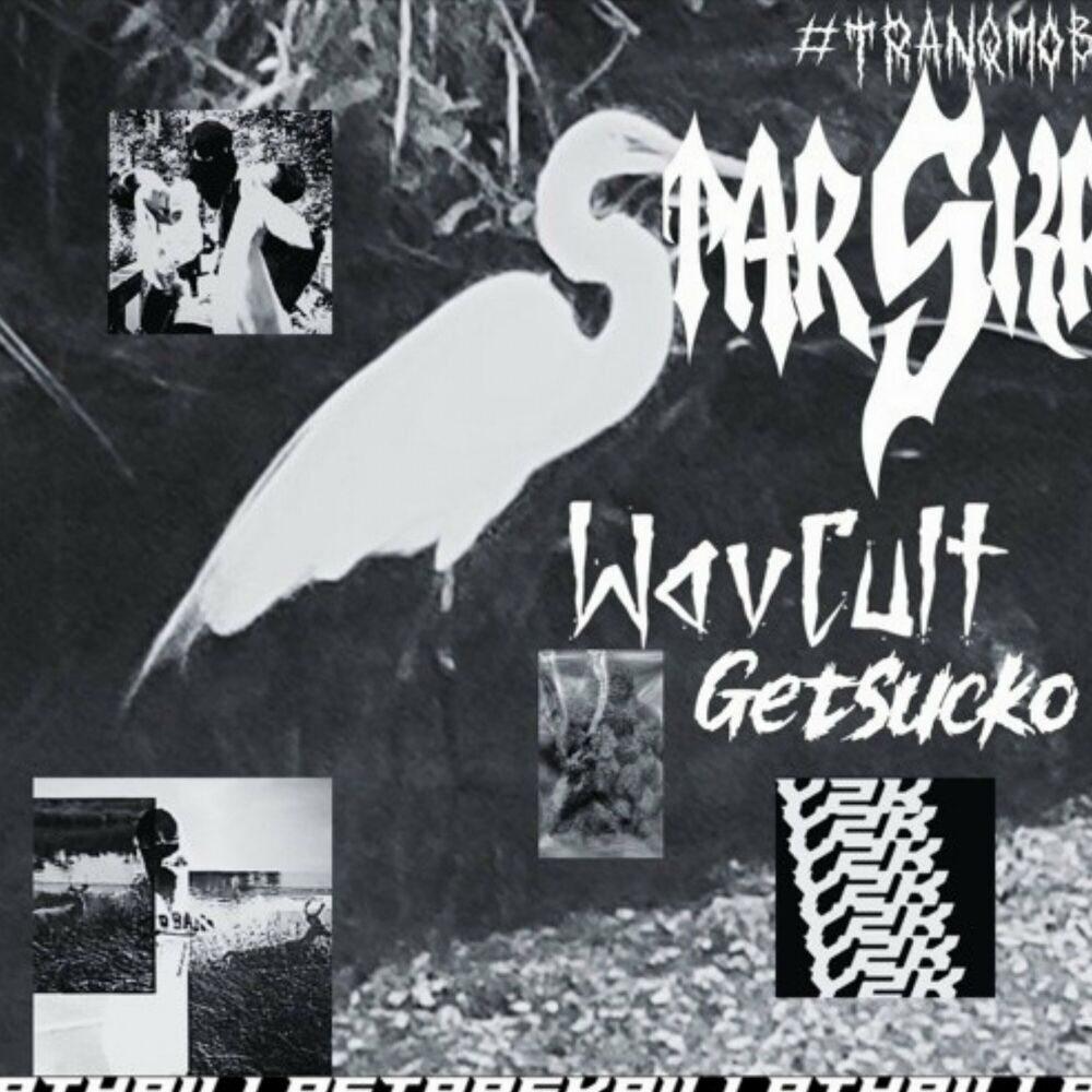 Picture of That Punk #Wavcult