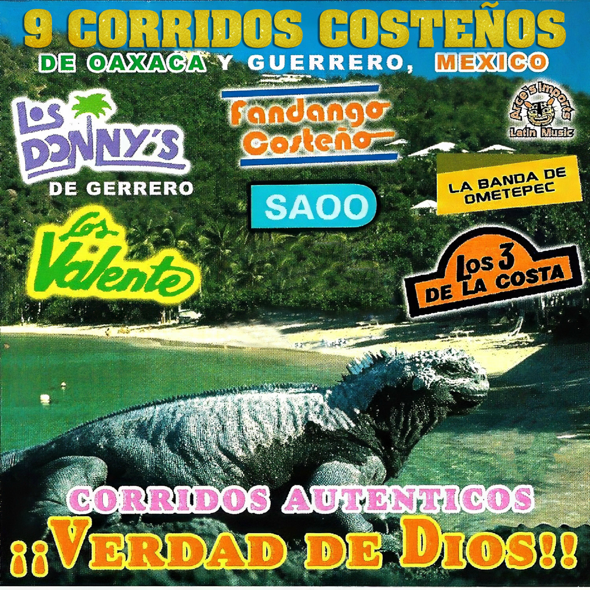 Album cover of 9 Corridos Costeños De Oaxaca Y Guerrero