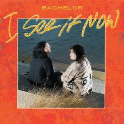 Cover of I See It Now