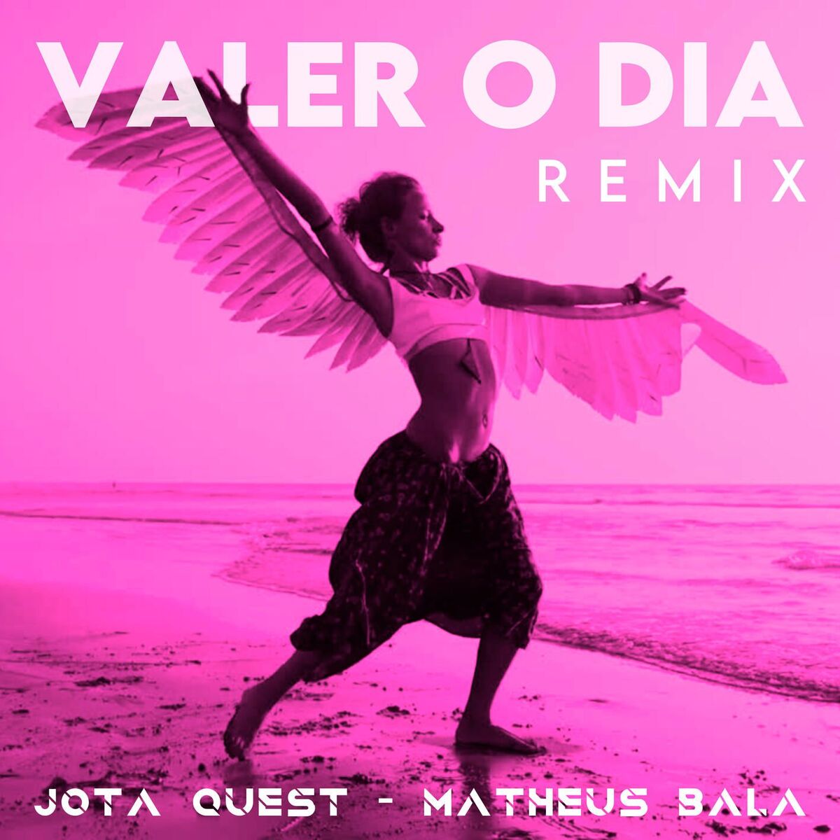 Album cover of Valer o Dia