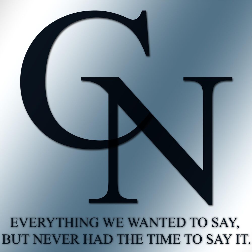 Picture of Everything We Wanted to Say, but Never Had the Time to Say It