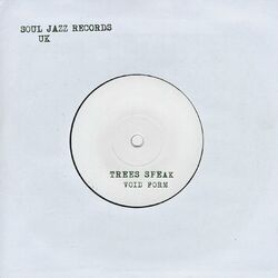 Cover of Void Form
