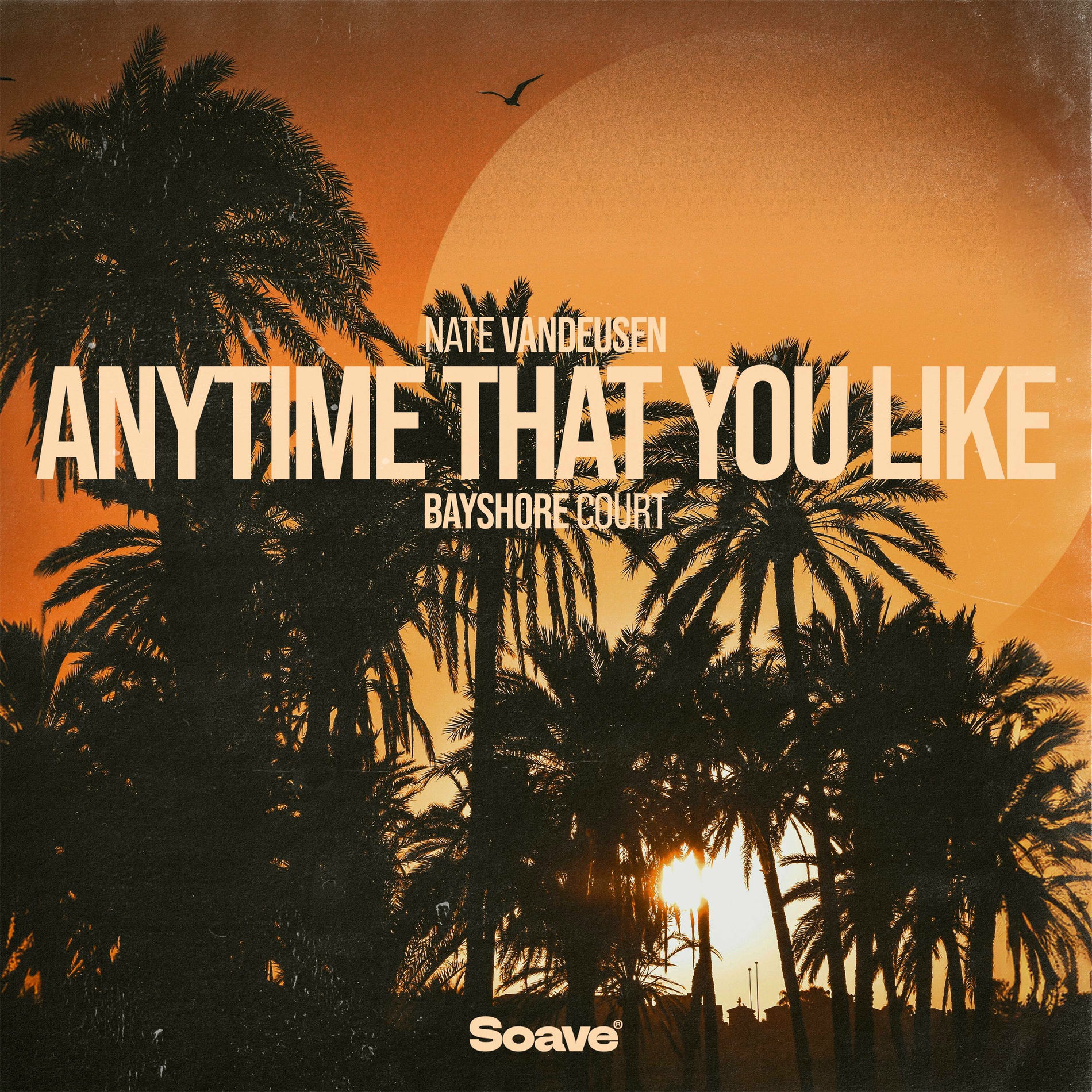 Album cover of Anytime That You Like