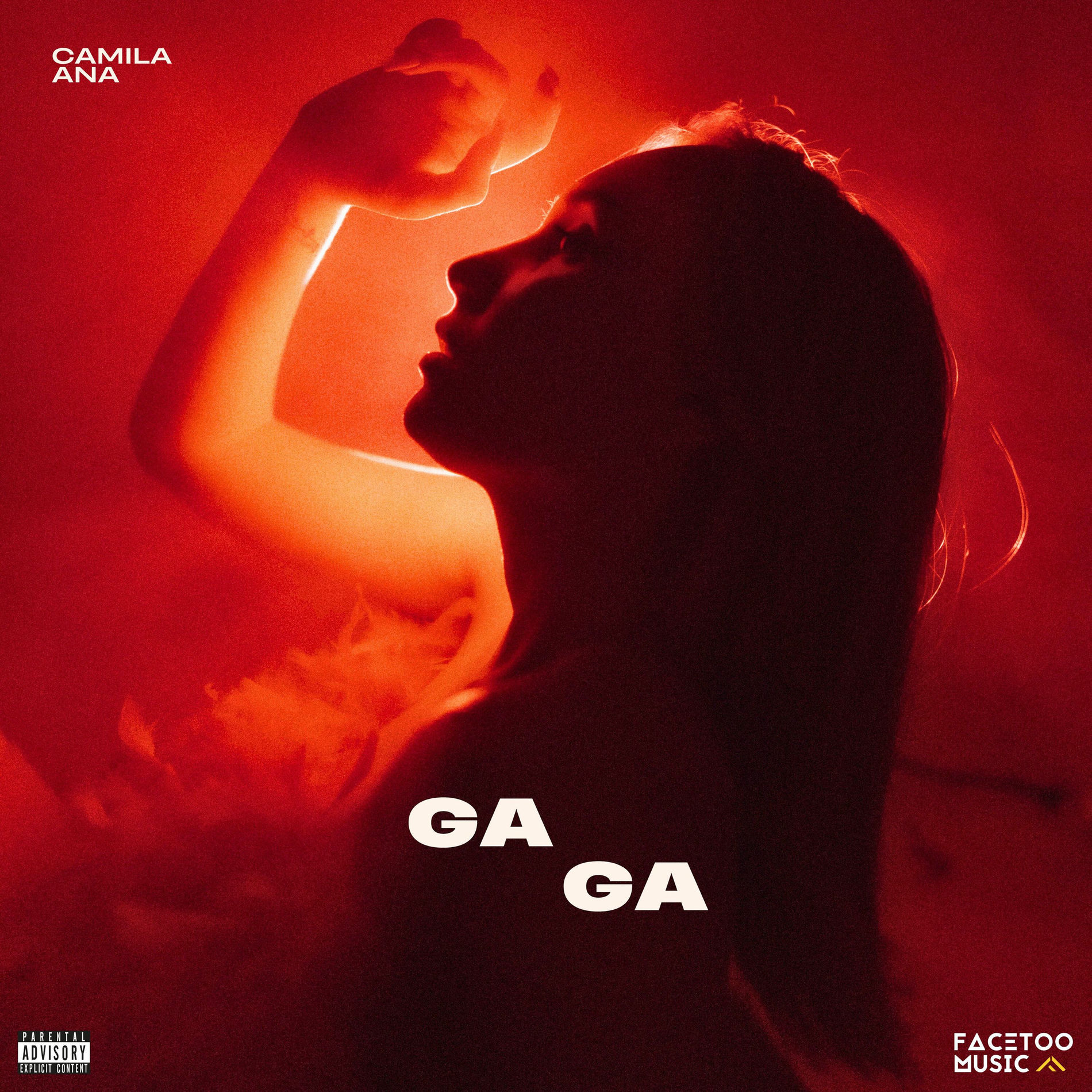 Album cover of GAGA