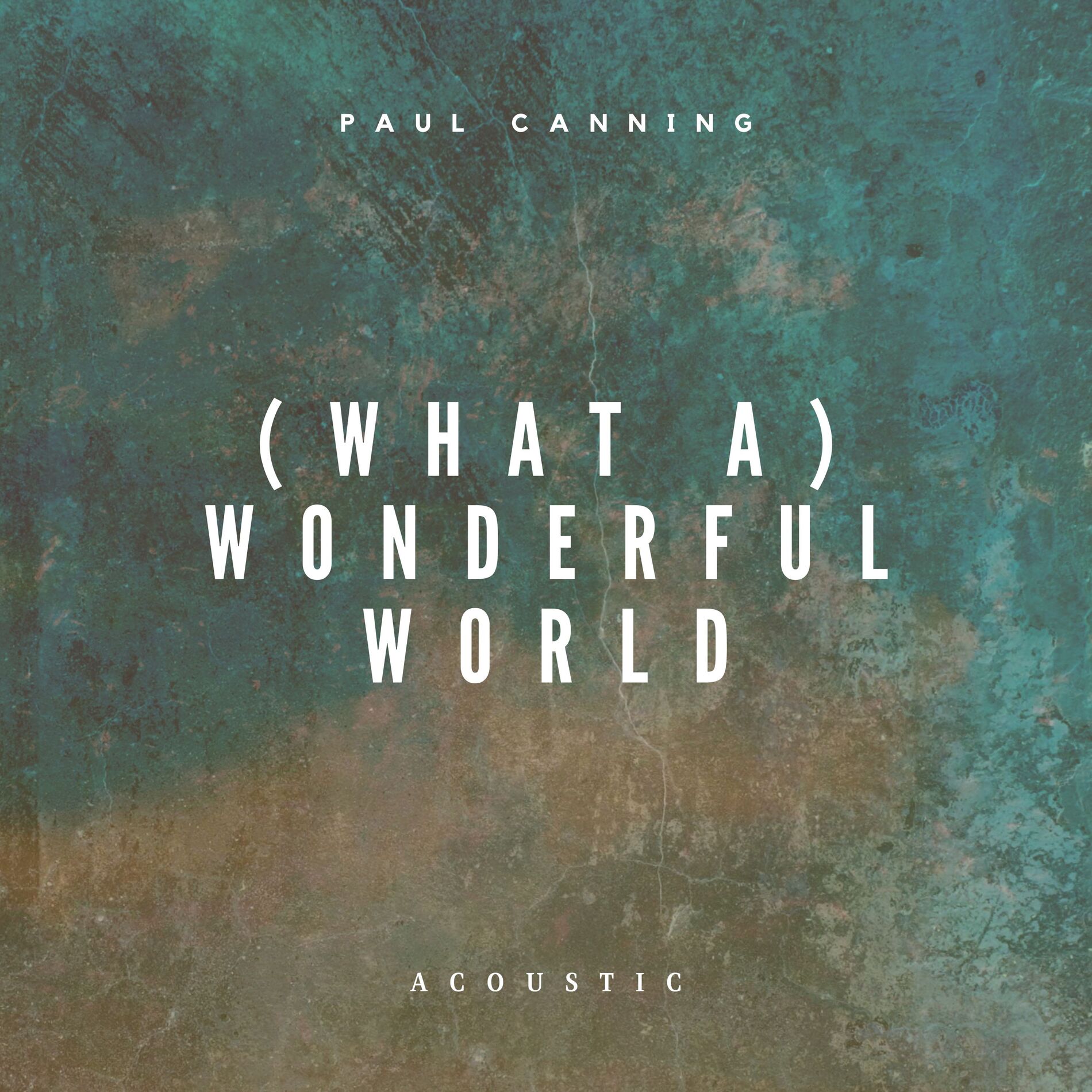 Album cover of (What A) Wonderful World