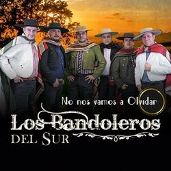 Cover of NO NOS VAMOS A OLVIDAR
