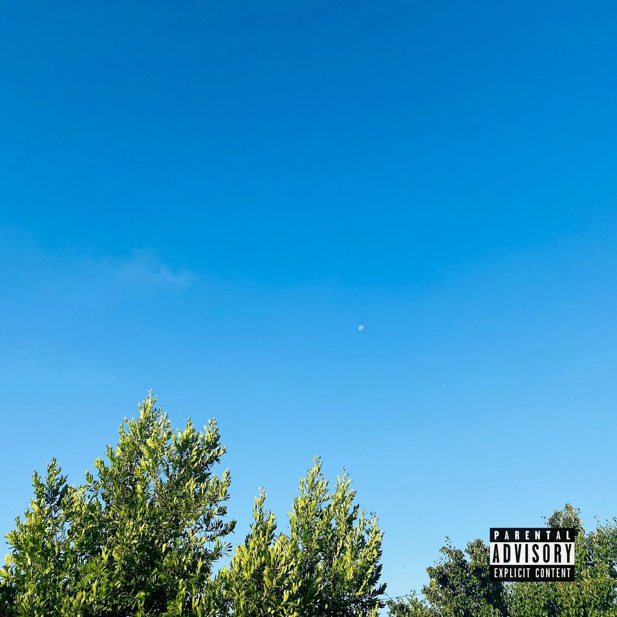 Album cover of Bridges