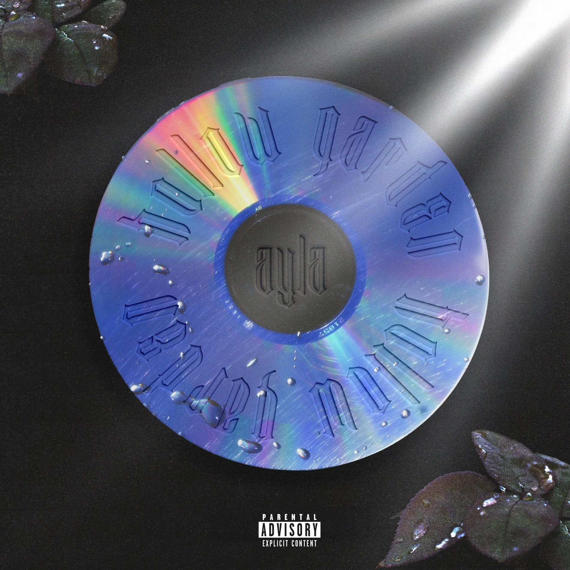 Album cover of DAMAGE SEVERE