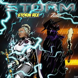 Cover of Storm