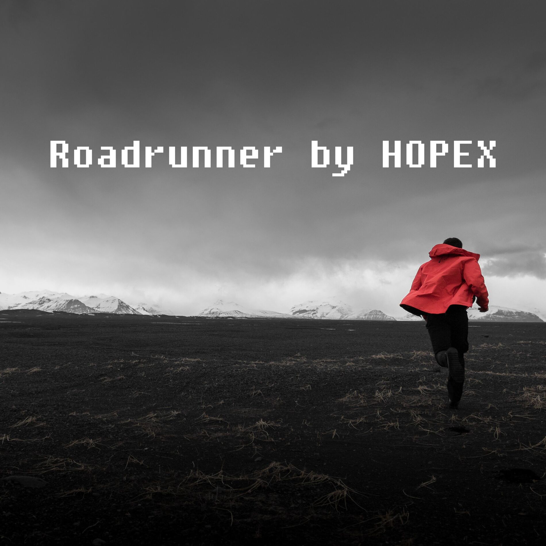 Album cover of Roadrunner