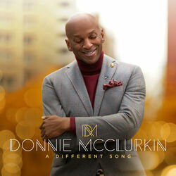 Cover of A Different Song