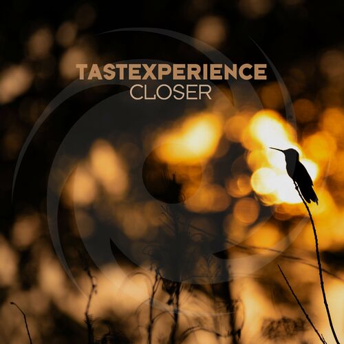  Tastexperience ft Sara Lones - Closer (2024) 