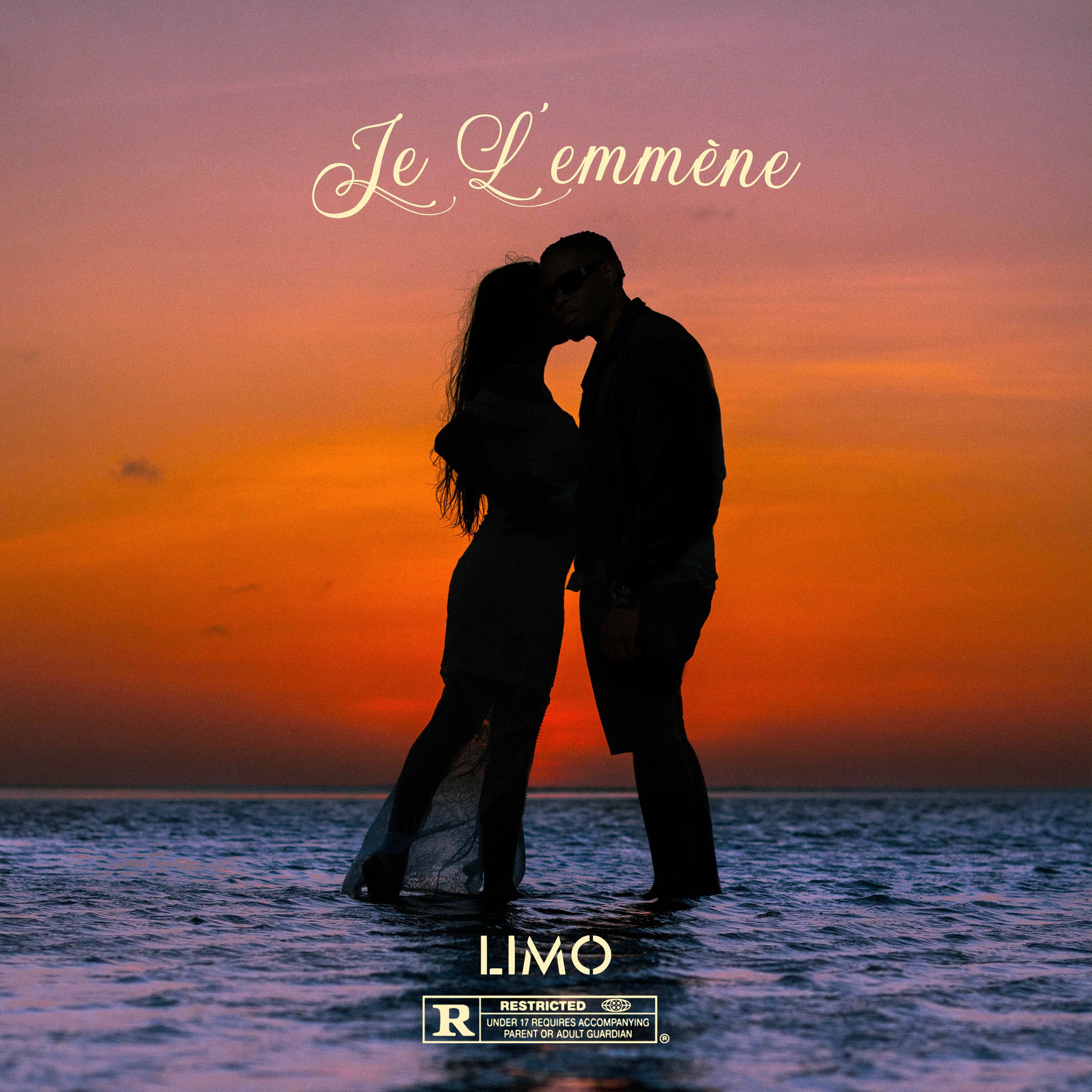 Album cover of Je L'emmène
