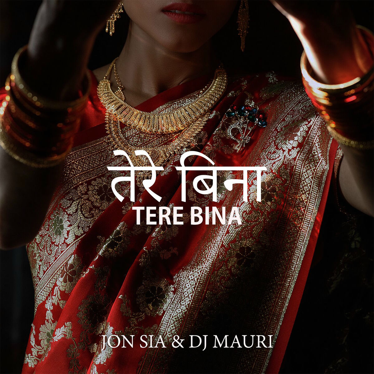 Album cover of Tere Bina