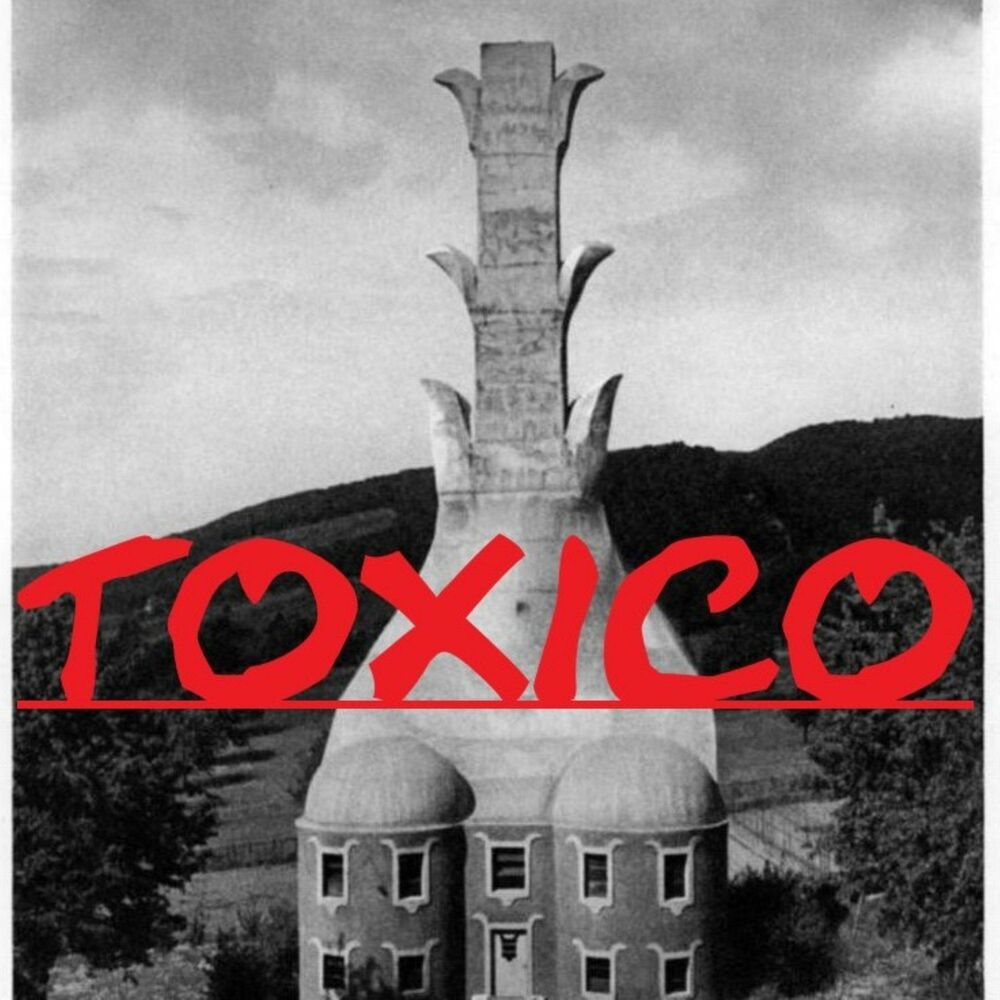 Picture of TOXICO