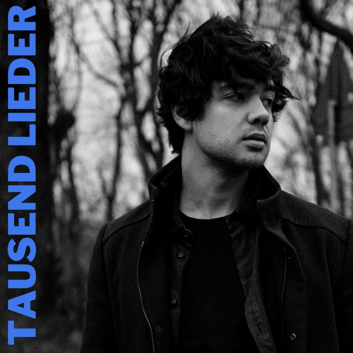 Album cover of Tausend Lieder