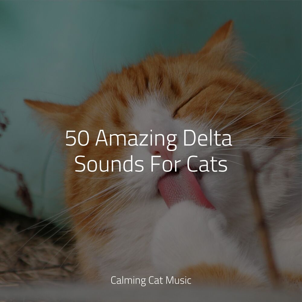 Picture of 50 Amazing Delta Sounds For Cats