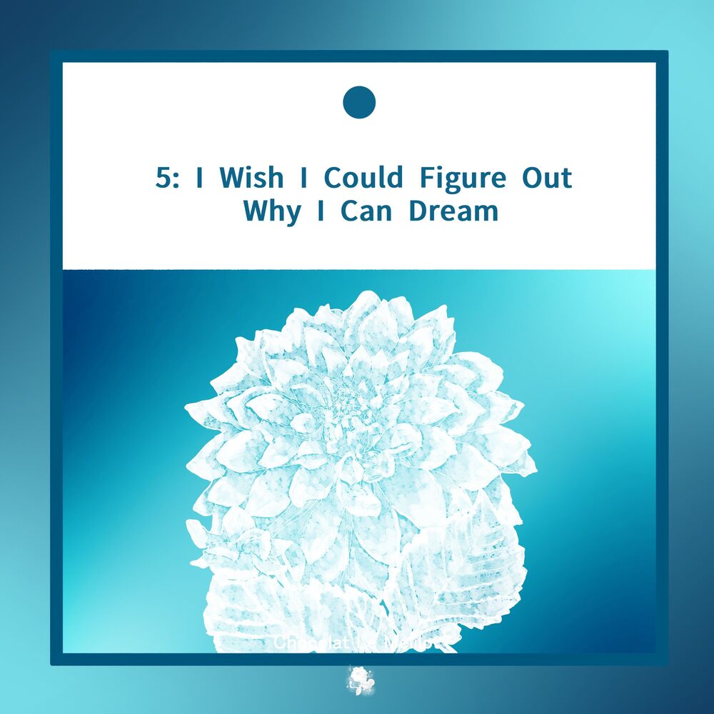 Picture of 5: I Wish I Could Figure Out Why I Can Dream