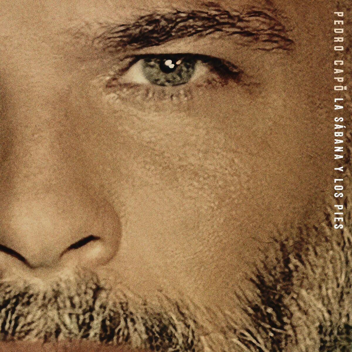 Album cover of La Sábana y los Pies
