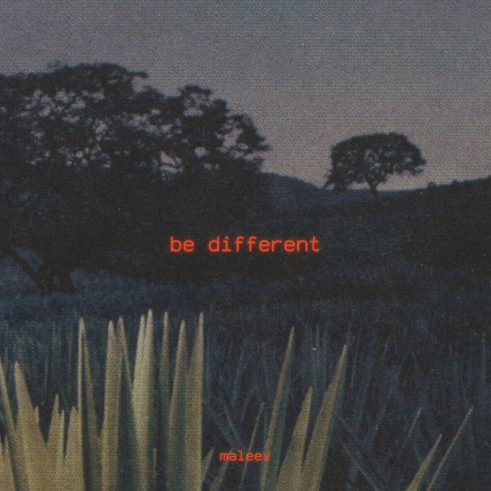 Picture of Be Different