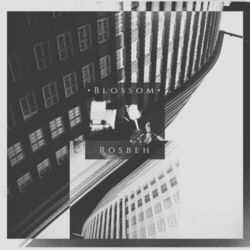Cover of Blossom