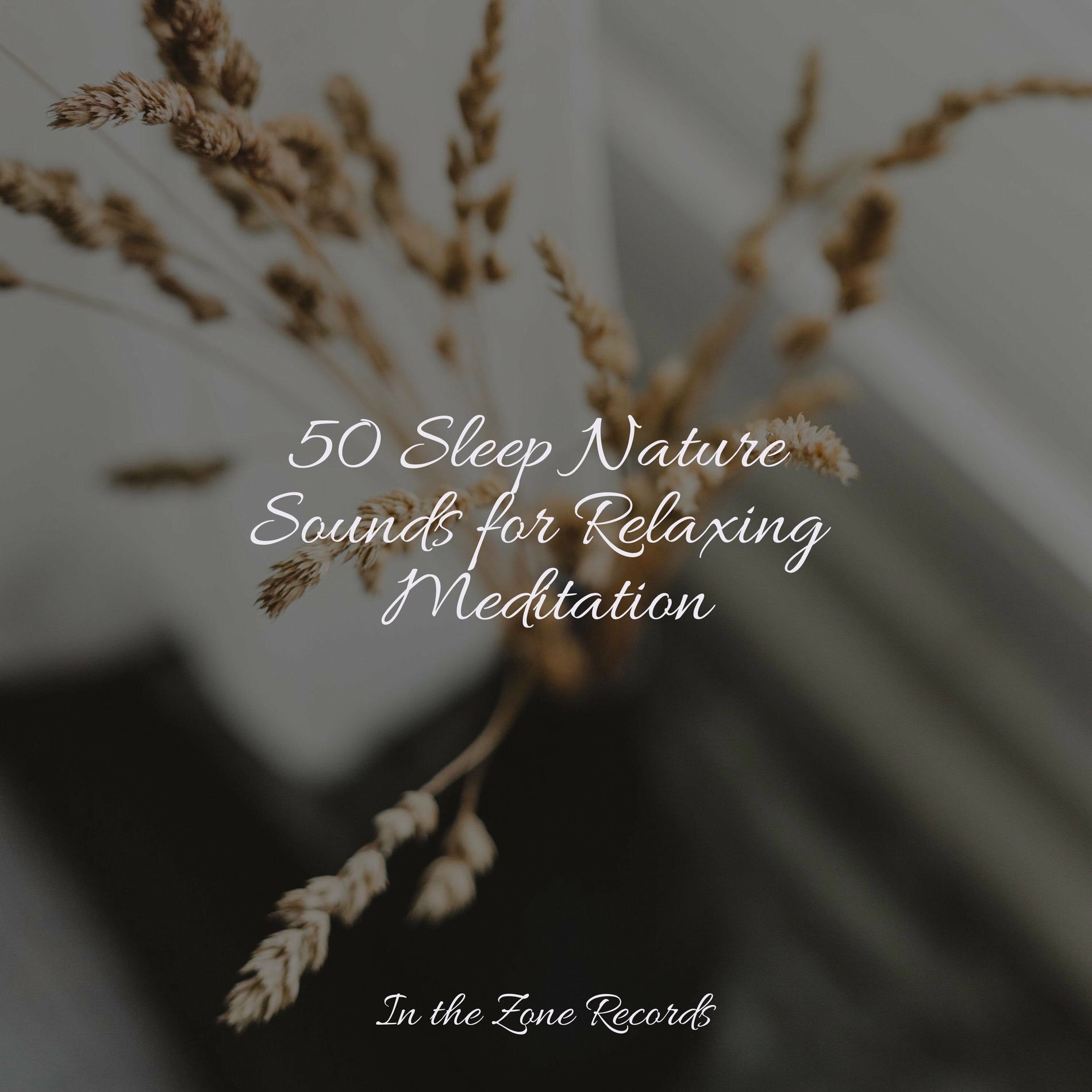 Album cover of 50 Sleep Nature Sounds for Relaxing Meditation