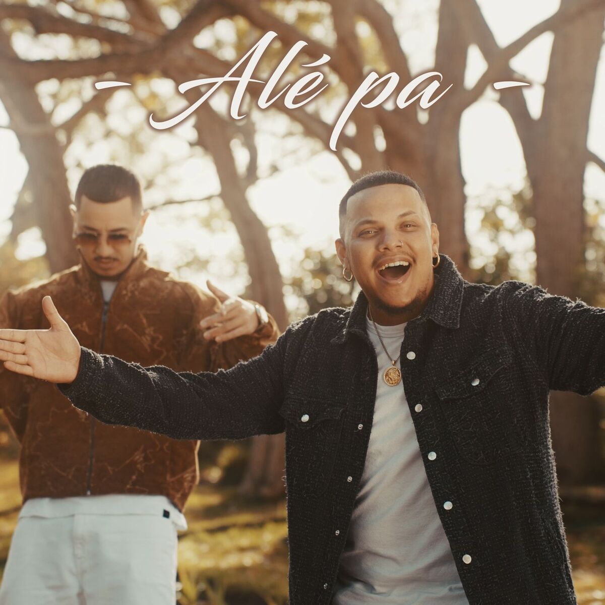 Album cover of Alé pa