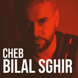 Cover of أليك كي داير