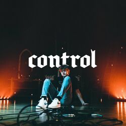 Cover of Control