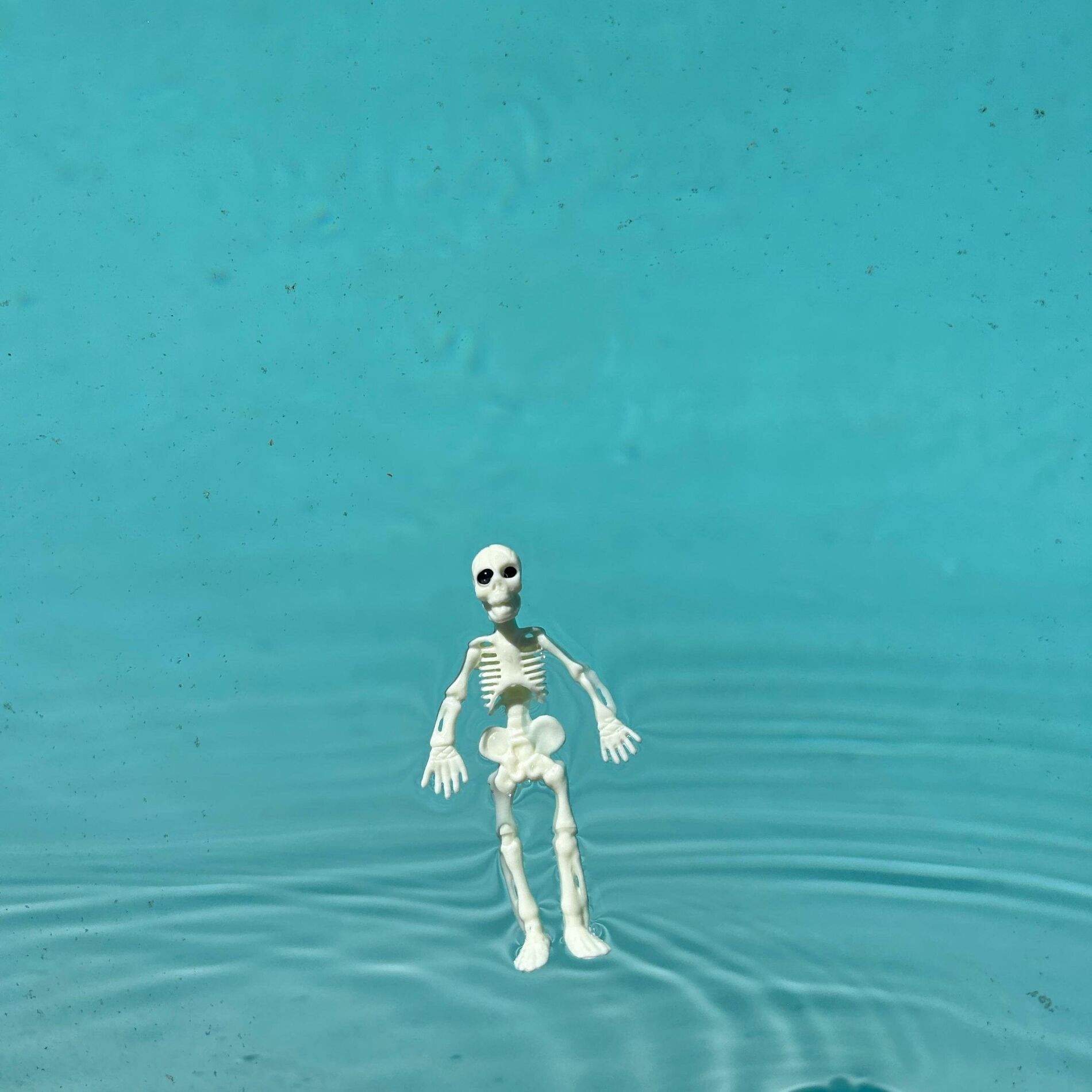 Album cover of PEANUT