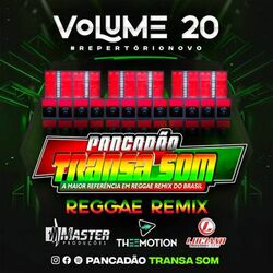 Cover of PANCADÃO TRANSA SOM VOLUME 20