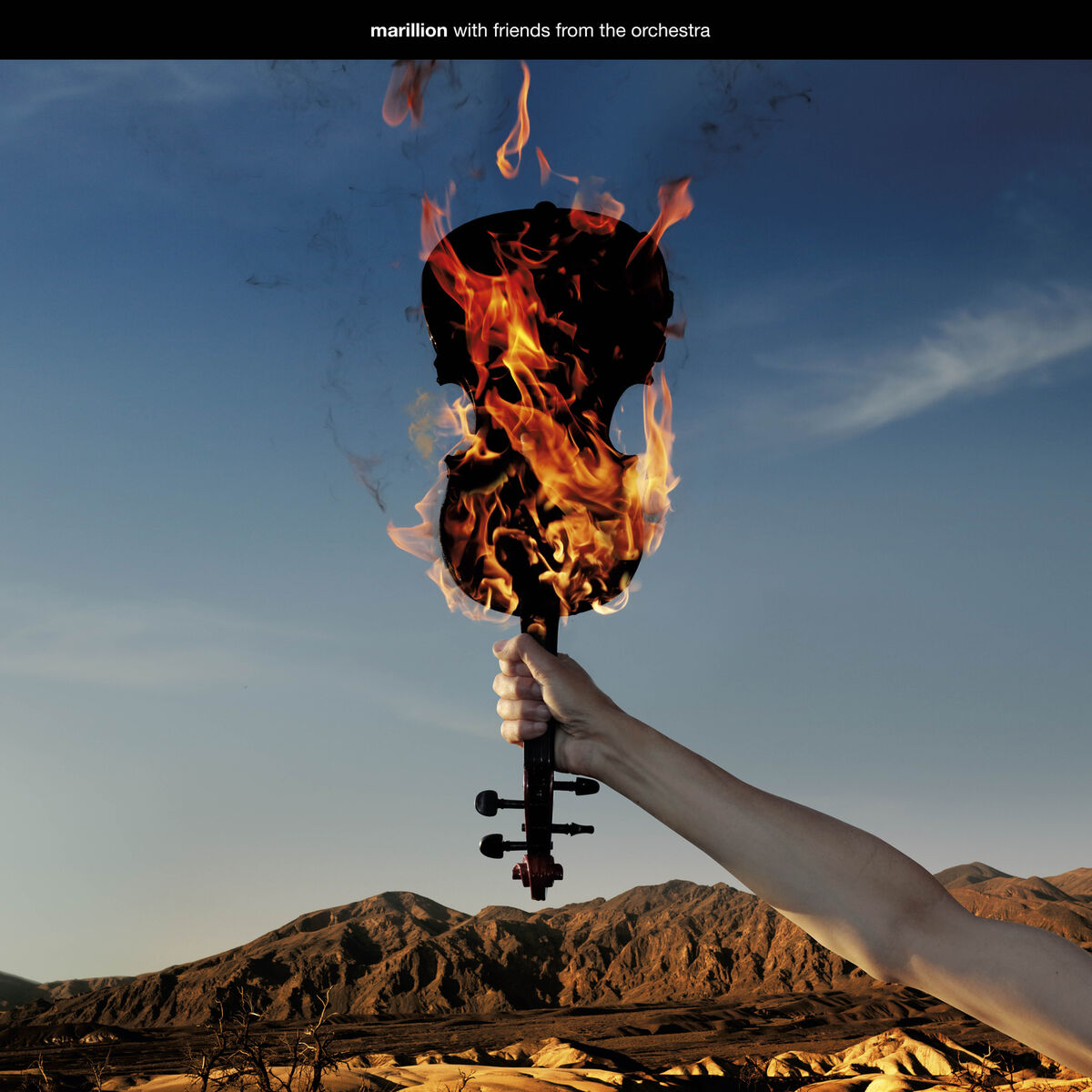 Album cover of With Friends from the Orchestra