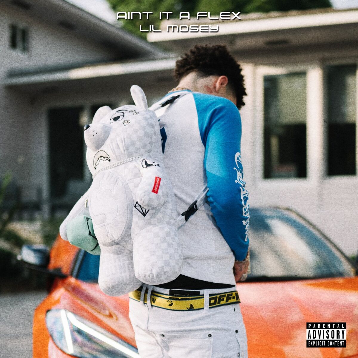 Album cover of Ain't It A Flex
