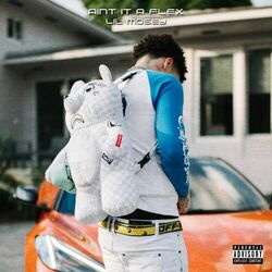 Cover of Ain't It A Flex