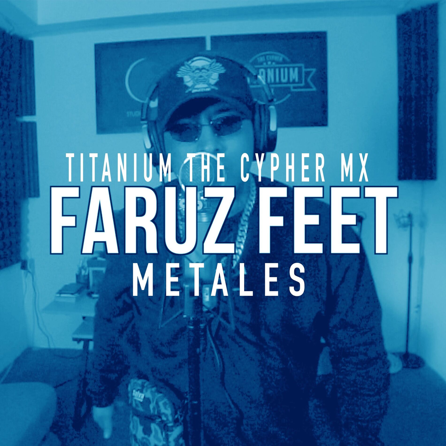 Album cover of Metales