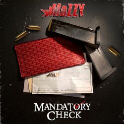 Cover of Mandatory Check