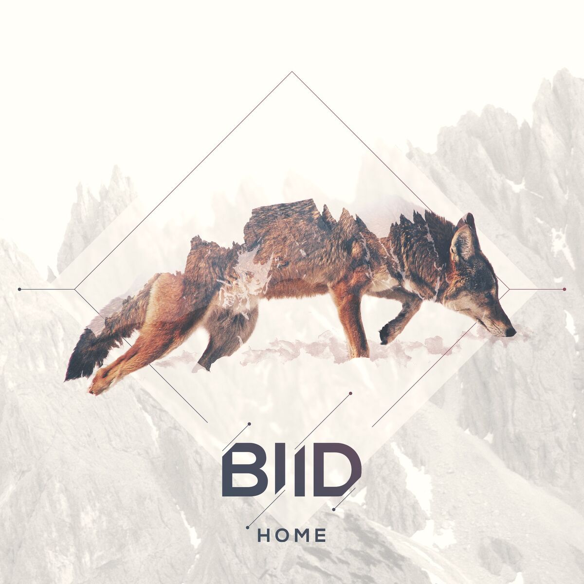 Album cover of Home