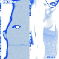 Cover of Enter The Dragon / TEKTIME