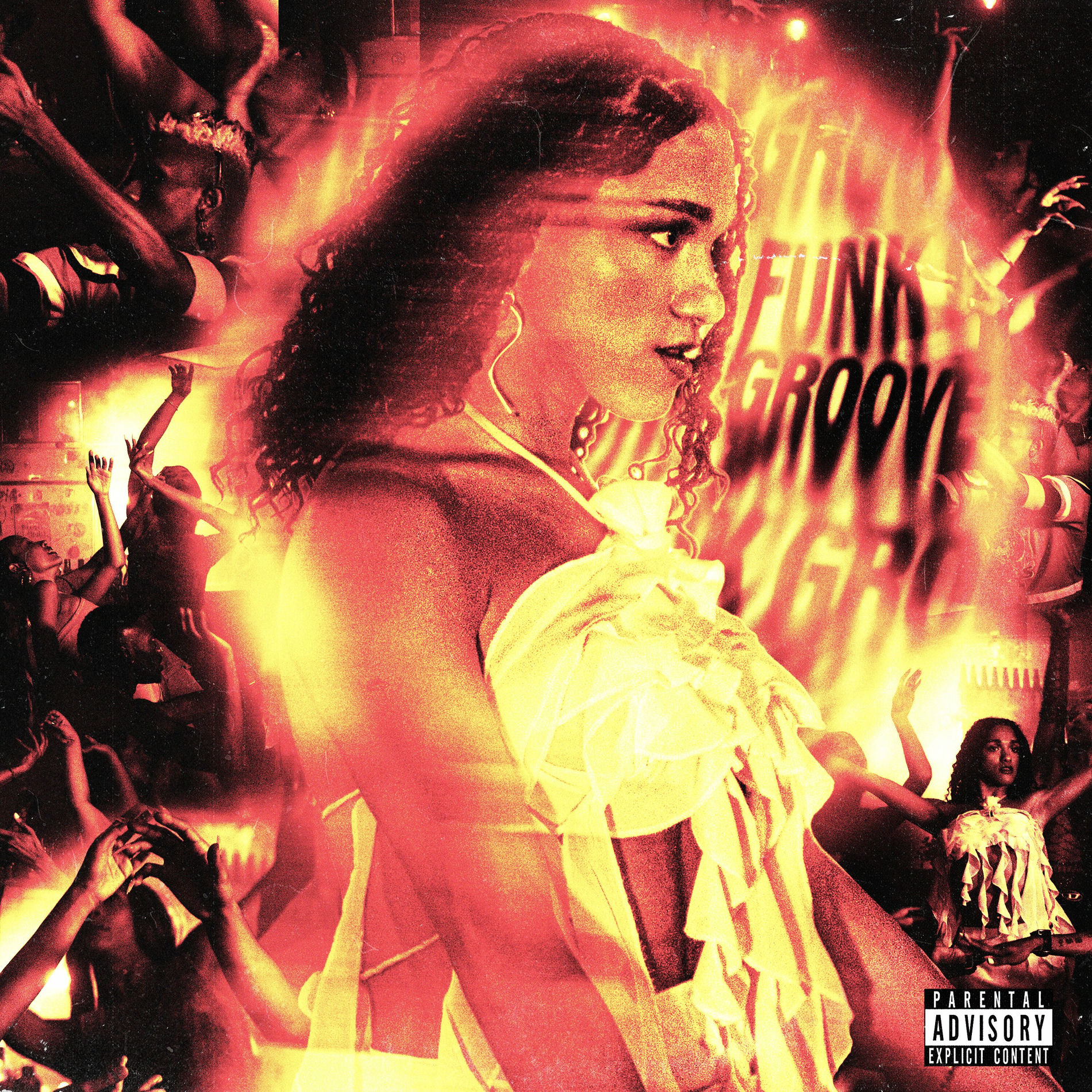 Album cover of Funk Groove