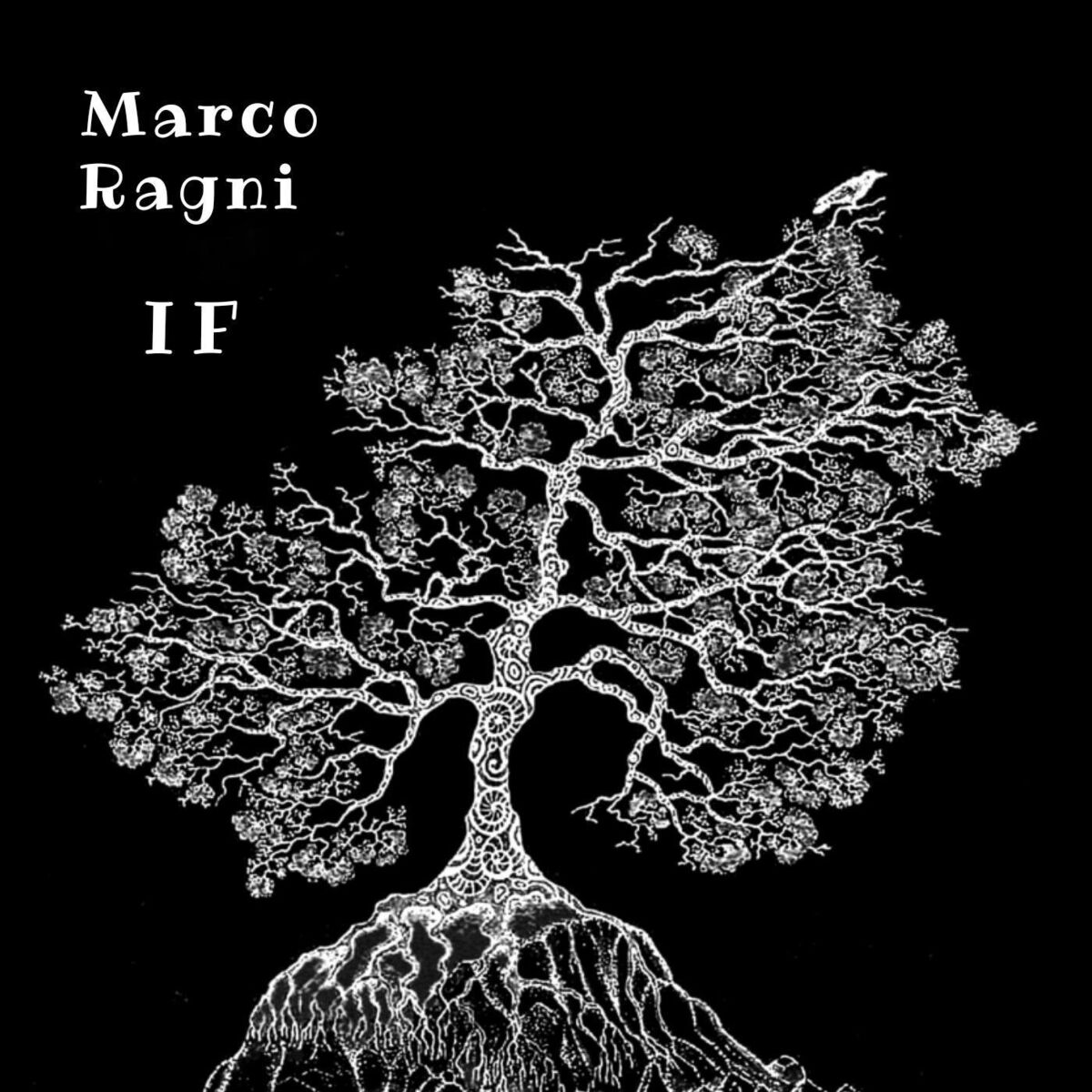 Album cover of If