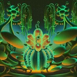 Cover of Planta Dance